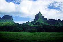 moorea8